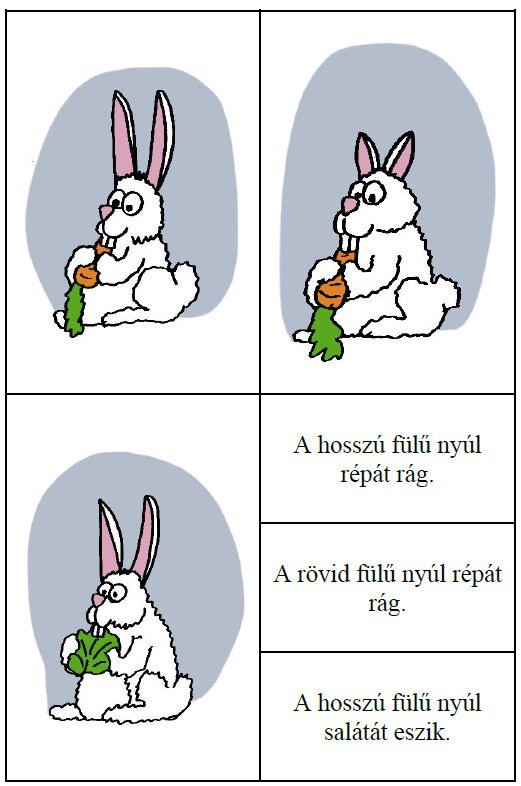 Beszédértés Sanyival